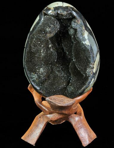 Septarian Dragon Egg Geode - Black Crystals #71991